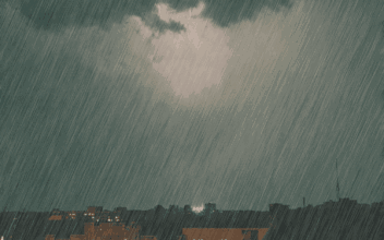 ΢ͼƬ_20200303113017.gif