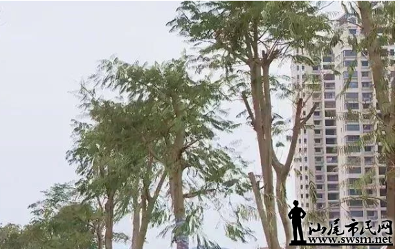 ľ.png