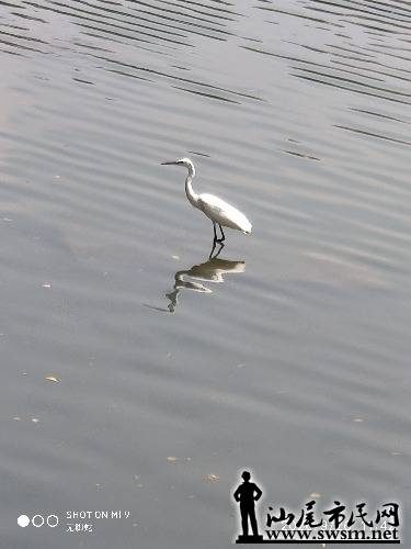 IMG_20200926_114228.jpg