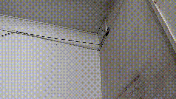 ΢ͼƬ_20210115091539.gif