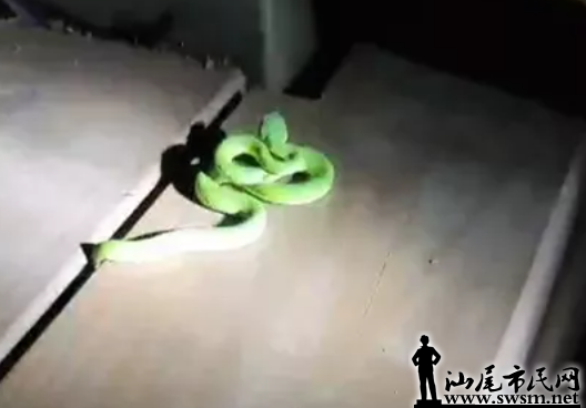 ΢Žͼ_20210701152856.png