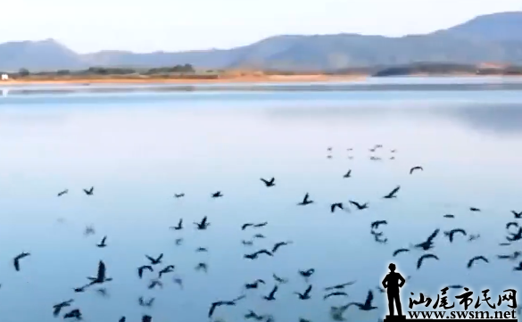 ͼ20220122144436.png