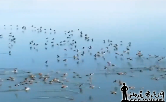 ͼ20220122144449.png