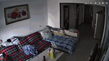 e49170eb5f8846af8647021c8cfbfab2.gif