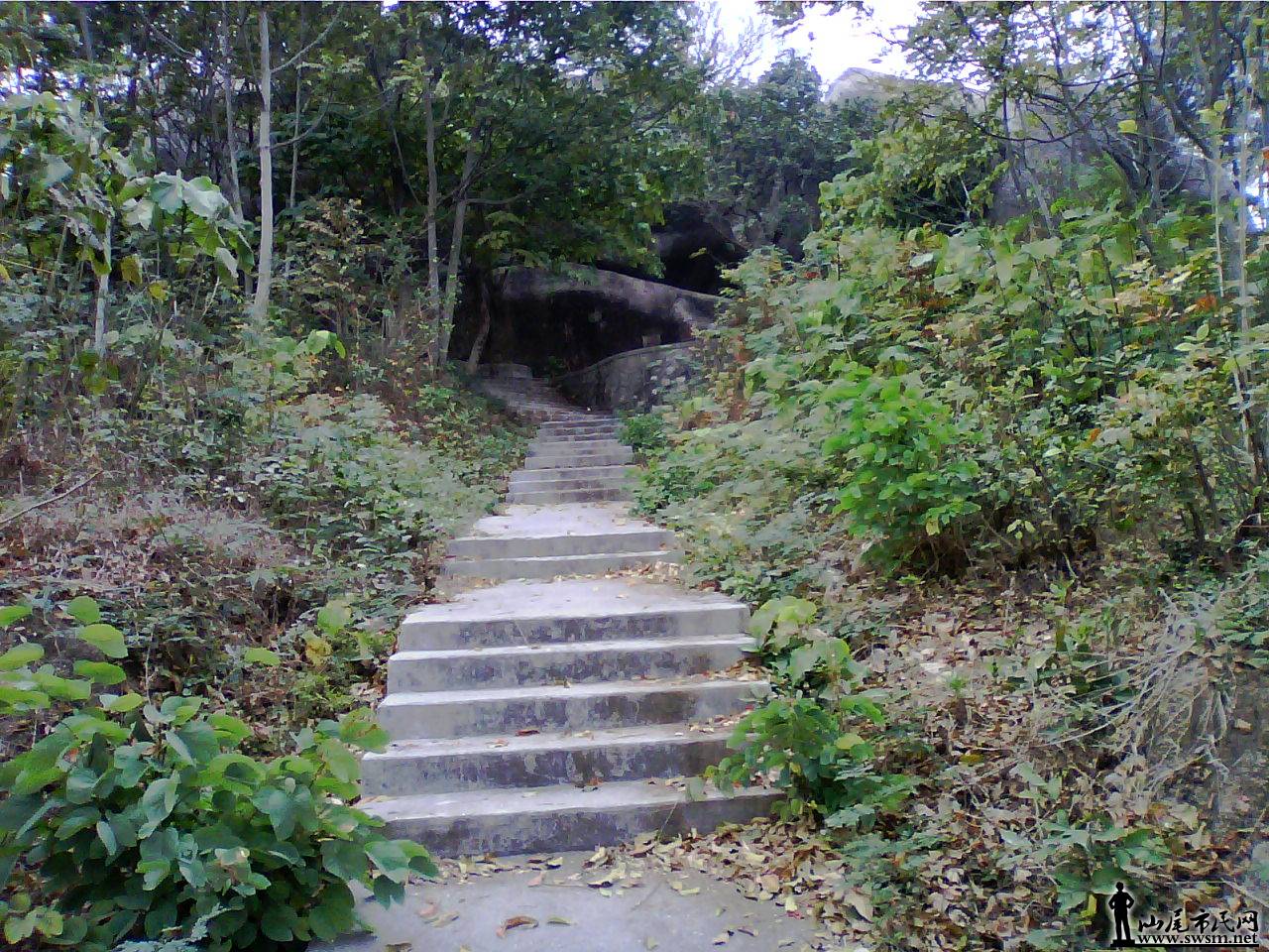 20110128_1505_0.jpg