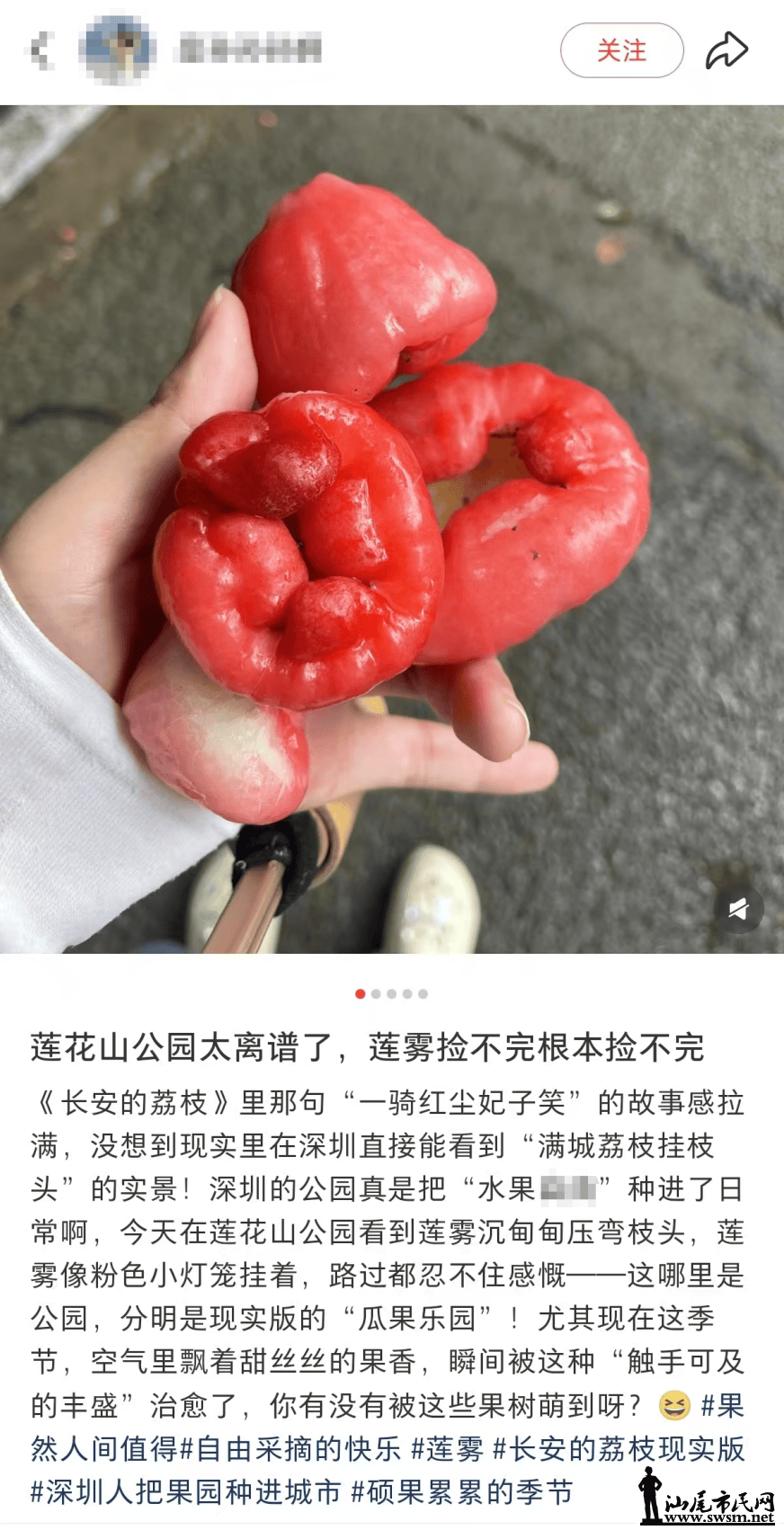 bbd1c2fabc194ca5ba2609546fd1a722.png