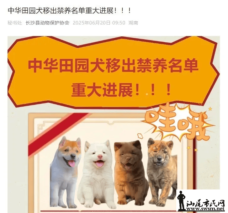 ba3a3c55221d45fb936b41e9ab72389c.png