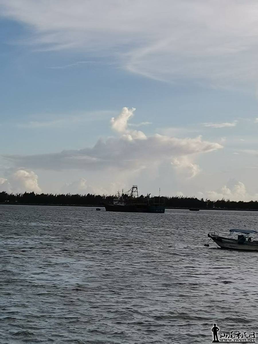 mmexport1751105236854.jpg