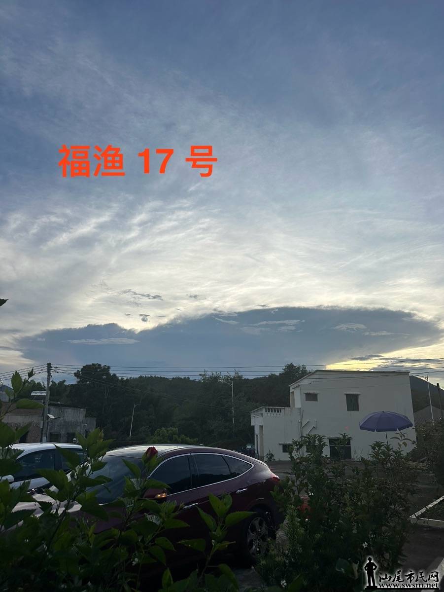 IMG_8593.jpeg