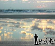 ׶糿